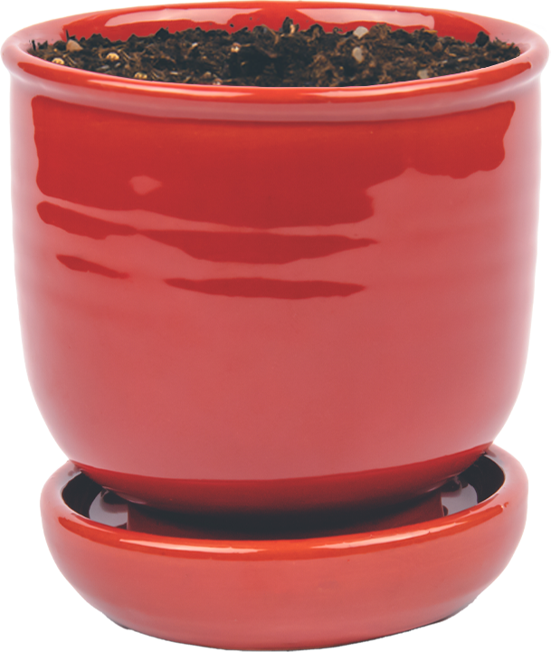 Pot en céramique rouge personnalisable pour un événement Cacto