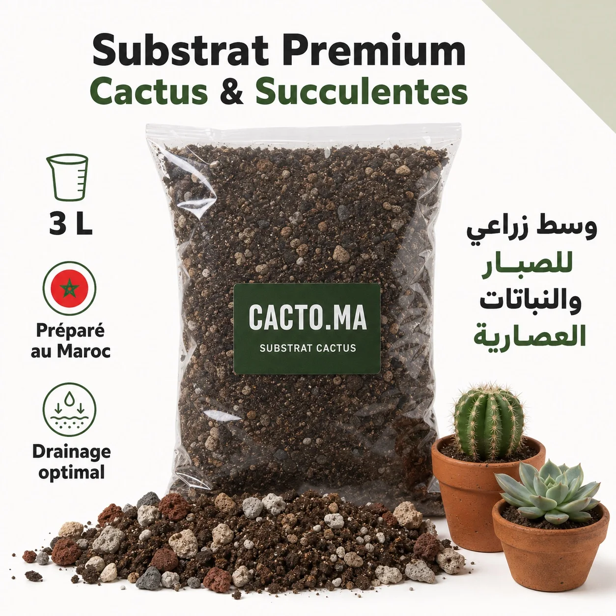 Substrat Premium Cactus & Succulentes – 3 L